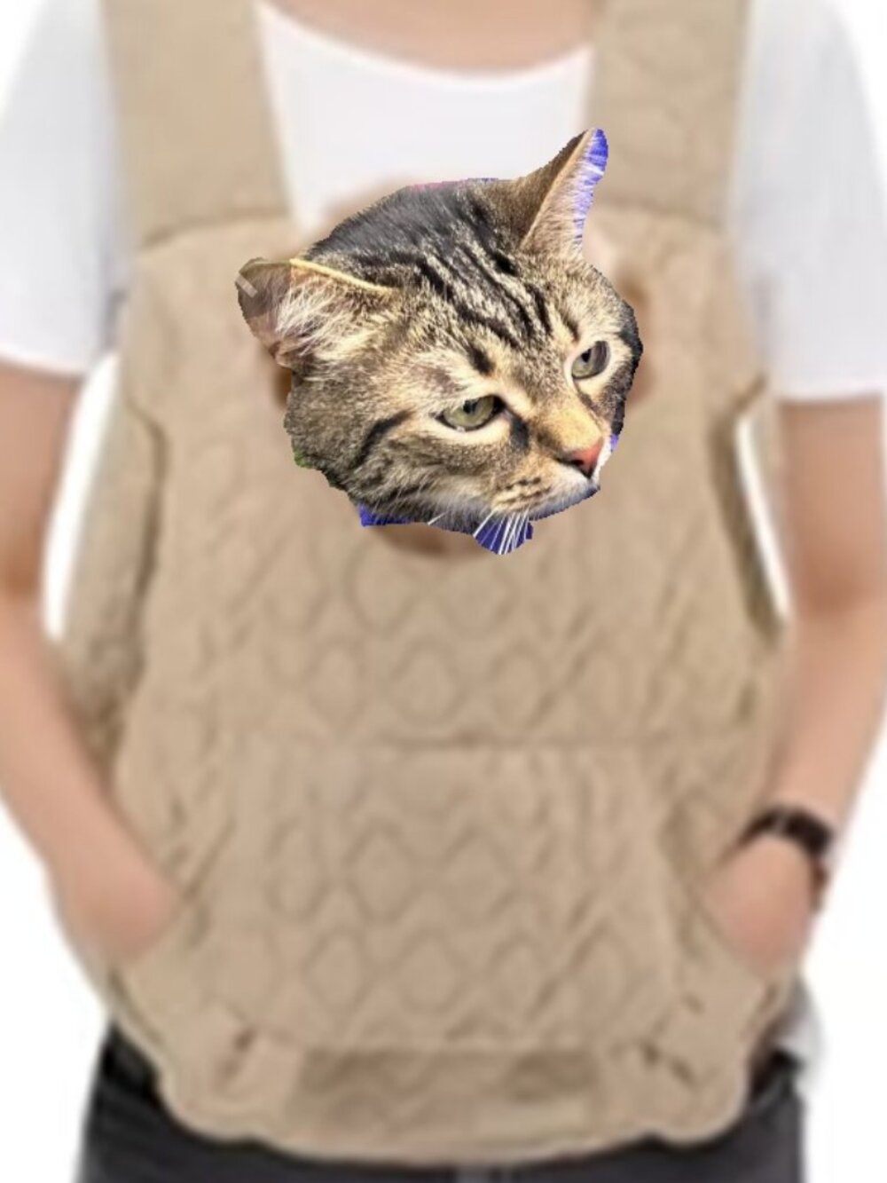 Lightweight Quilted Beige Small Pet Carrier sling Bag with Padded Interior